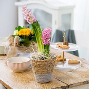Osłonka na doniczkę Boho 14,5 cm szara AMBITION