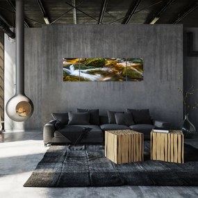 Obraz strumienia (170x50 cm)