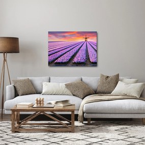 Obraz - farma kwiatów (70x50 cm)