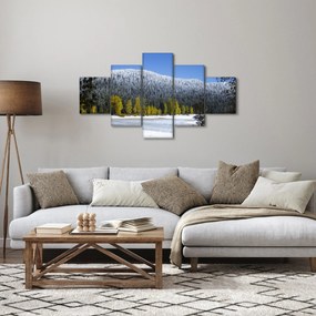 Obraz - ośnieżone góry zimą (125x70 cm)
