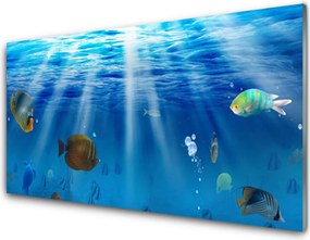 Szkło Dekoracyjne do Kuchni Egzotyczna Ryba W Tonii