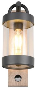 Zewnętrzna lampa ścienna (wysokość 33 cm) Sambesi – Trio