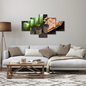 Obraz - Wzrost (125x70 cm)