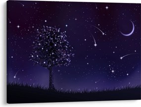 Obraz - Noc uchwycona przez ilustrację (70x50 cm)