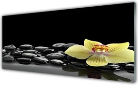 Panel Szklany Modernistyczny Akcent Kuchenny