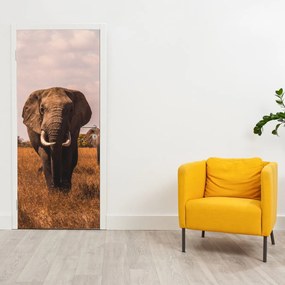 Fototapeta na drzwi - Przybycie słonia (95x205cm)