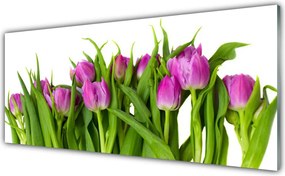 Panel nad blat kuchenny Tęczowe Pole Tulipanów