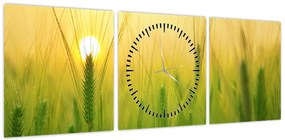 Obraz pola ze zbożem (z zegarem) (90x30 cm)