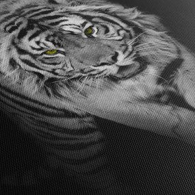 Obraz - Tygrys z żółtymi oczami (170x50 cm)