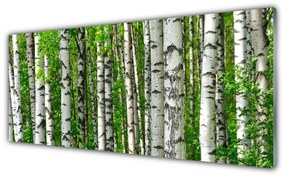 Obraz Szklany Las Roślina Natura Drzewa
