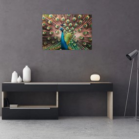 Obraz - Paw (70x50 cm)