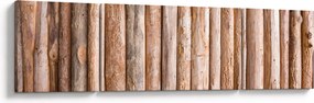 Obraz - Bambus (170x50 cm)