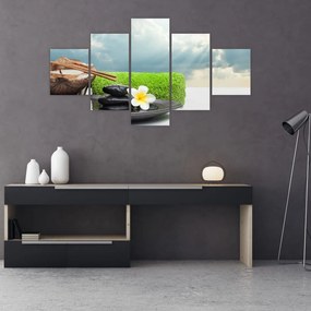 Obraz - Spa and relakx (125x70 cm)