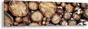 Obraz - Drewno w śniegu (170x50 cm)