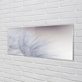 Panel nad Blat Kuchenny Dmuchawce w Porannej Rosie