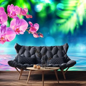Fototapeta - Orchidea (196x136 cm)