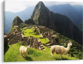 Obraz - Machu Picchu (70x50 cm)