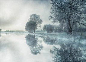 Obraz na szkle - zimowa natura (70x50 cm)