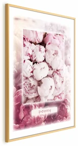 Plakat Delikatność wiosny 40x60 cm z ramą złotą z marginesem ARTGEIST B