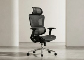 Fotel biurowy Ergo Omega czarny oferuje maksymalny komfort i nowoczesny design! Regulacja lędźwiowa, podłokietniki 4D, oddychająca siatka Mesh i chromowana podstawa. Idealny do pracy.