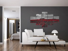 Obraz maków (125x70 cm)
