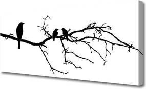 Obraz drukowany na płótnie Śpiew Ptaków na Gałęzi