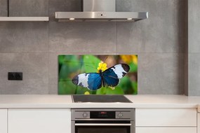 Panel Kuchenny Szklany Egzotyczny Motyl na Płatkach