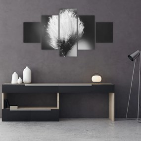 Obraz - Czarno-biała trawa bawełniana (125x70 cm)
