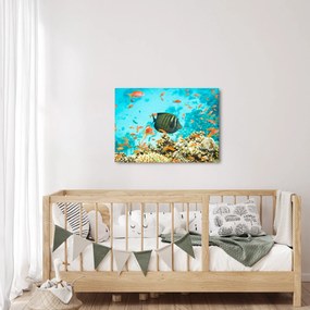 Obraz podwodnego świata (70x50 cm)