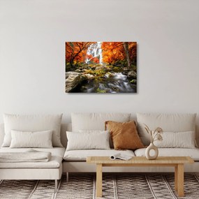 Obraz na szkle - Wodospady w pomarańczowym lesie (70x50 cm)