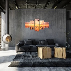 Obraz - Łabędzie (125x70 cm)