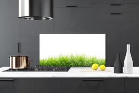 Panel Kuchenny Naturalny Dywan Trawy