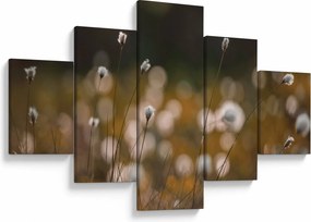 Obraz - Łąka z trawą bawełnianą N⁰2 (125x70 cm)