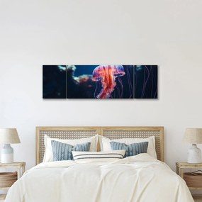 Obraz - Meduza (170x50 cm)