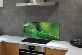 Panel szklany do Kuchni Źdźbło Trawy z Kroplą Rosy