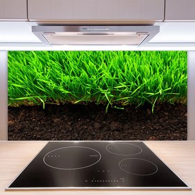 Szkło Ozdobne do Kuchni Świeża Trawa O Poranku