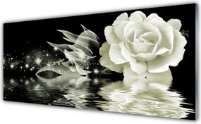 Szkło Ozdobne do Kuchni Czerwona Róża W Kroplach Deszczu