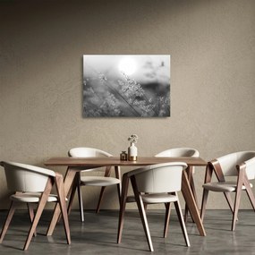 Obraz na szkle - Jesienna łąka (70x50 cm)