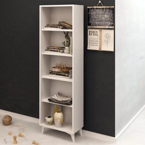 Biblioteczka Potena
