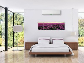 Obraz - Łąka fioletowych tulipanów (170x50 cm)