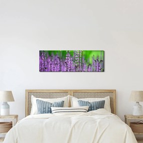 Obraz fioletowych kwiatów polnych (z zegarem) (90x30 cm)