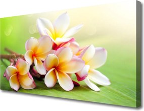 Fotoobraz na płótnie Pełnia Kwiatowego Rozkwitu