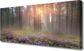 Obraz na płótnie Leśny Ogród w Rozkwicie