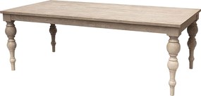 Stół Panama 220x110x78cm