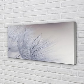 Duży obraz na płótnie Dmuchawce w Porannej Rosie