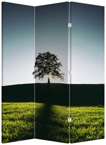 Parawan - Drzewo (126x170 cm)