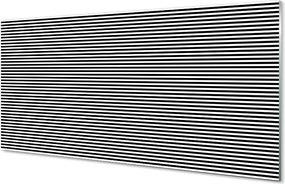 Szkło do Kuchni na Ścianę Motyw Zwierzęcy: Zebra