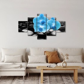 Obraz - Niebieska Orchidea (125x70 cm)