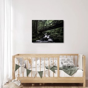 Obraz na szkle z czarnego lasu (70x50 cm)