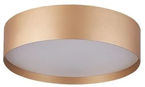 Palnas 61004624 - LED Oświetlenie sufitowe SOFIE LED/50W/230V